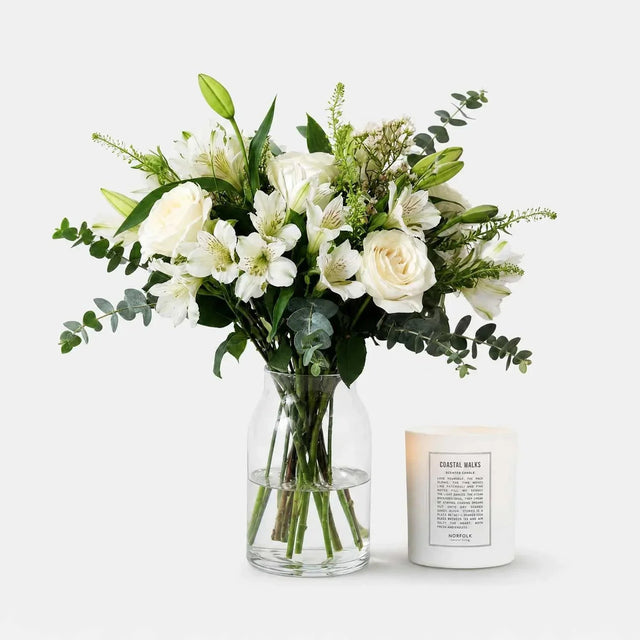 The Morning Mist and Coastal Walks Candle - Bundle - The Blossomist