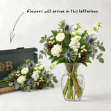 The Pine Christmas Letterbox Flowers and Card Bundle