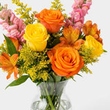 The Saffron Letterbox Flowers