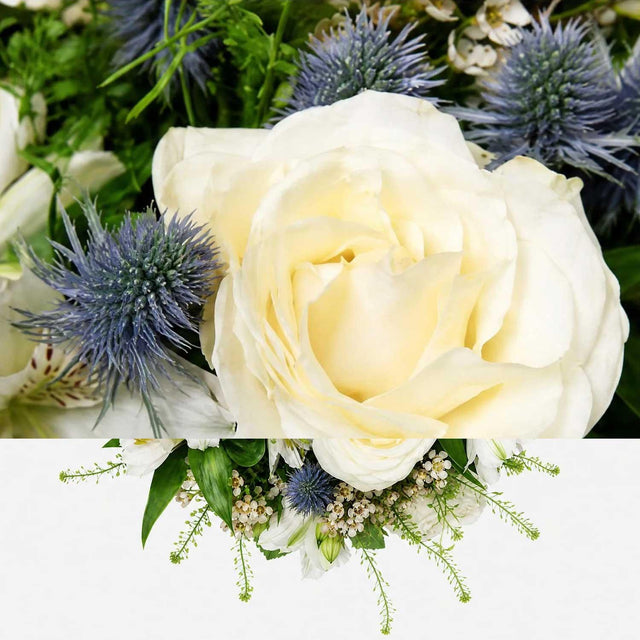 Thinking of You White Rose Bouquet - Flower Bouquet - The Blossomist