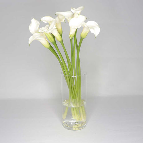 White Cala Lily