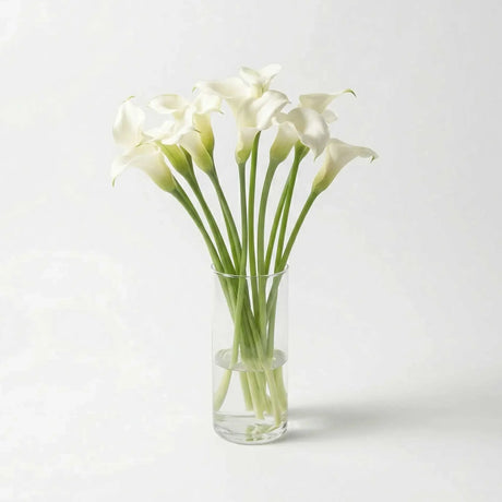White Calla Lily
