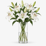 White Oriental Lilies