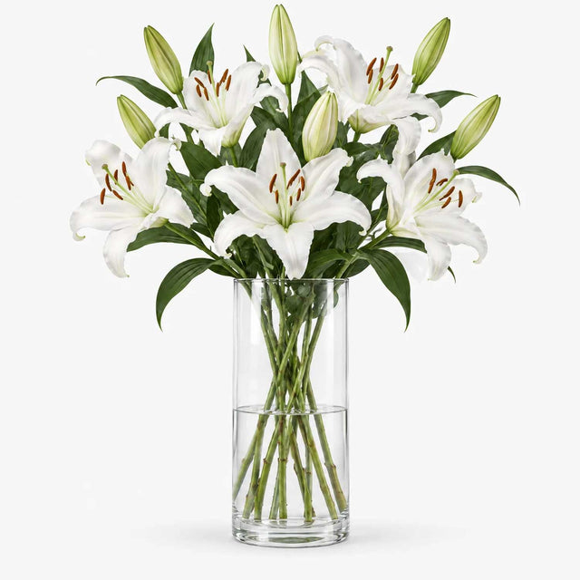 White Oriental Lilies