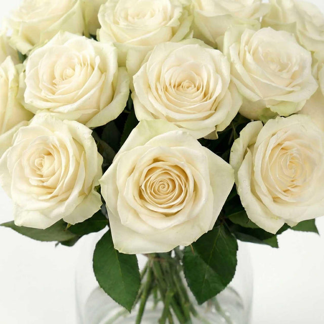 White Rose Bouquet - Flower Bouquet - The Blossomist